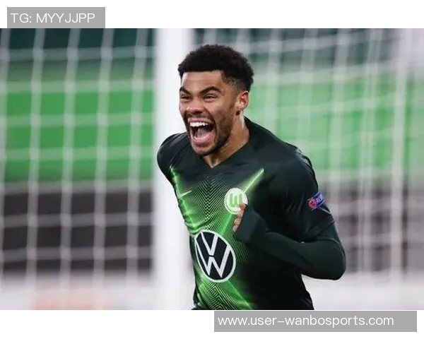 南海岸数学家维金斯高效表现助力球队防守贡献显著