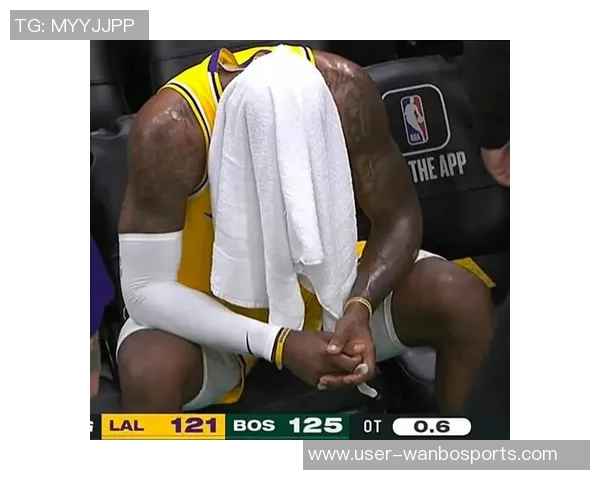 恢复执裁权利埃里克刘易斯曾执法塔图姆遭漏判的詹姆斯之战